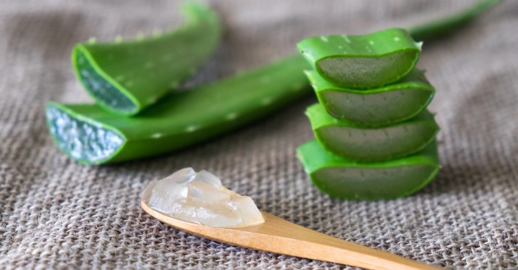 نبات الألوفيرا  لعلاح تجاعيد البشرة