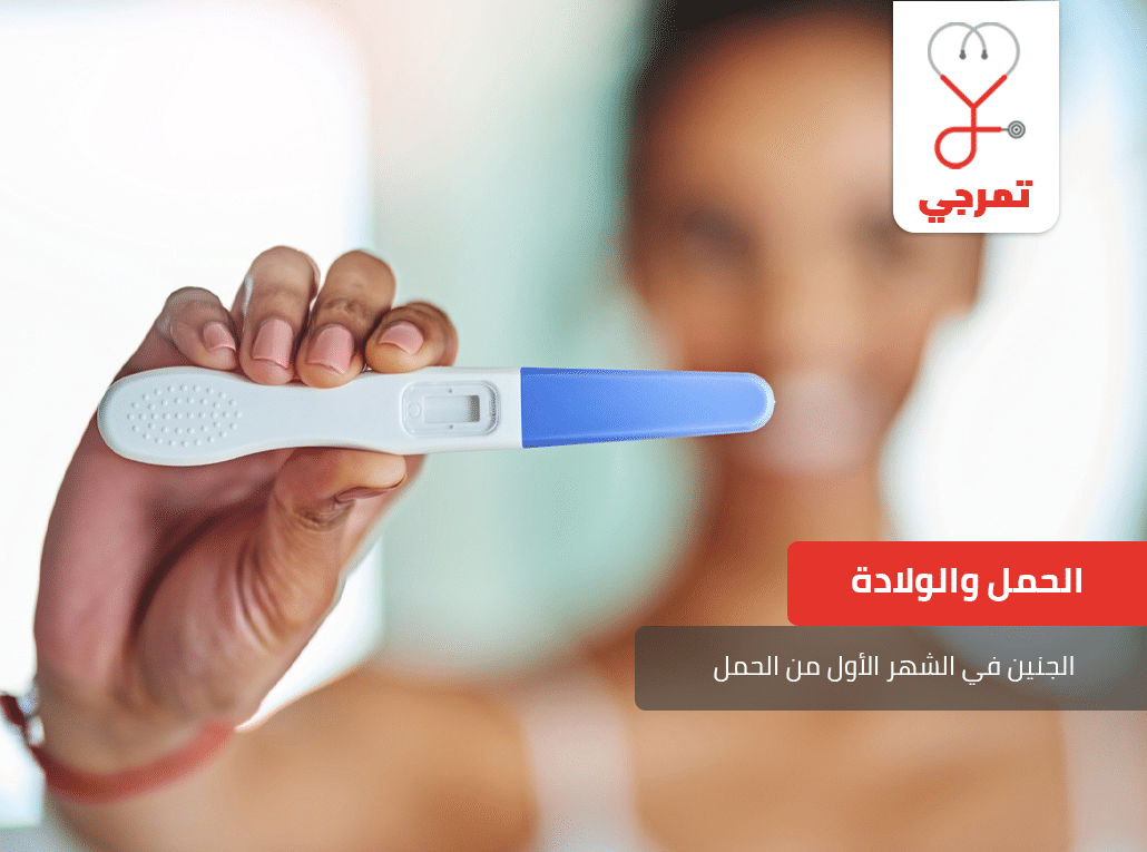الجنين في الشهر الأول