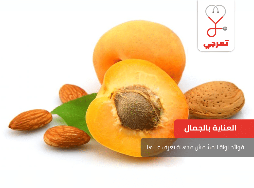فوائد نواة المشمش
