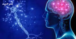 فيتامين ميلجا